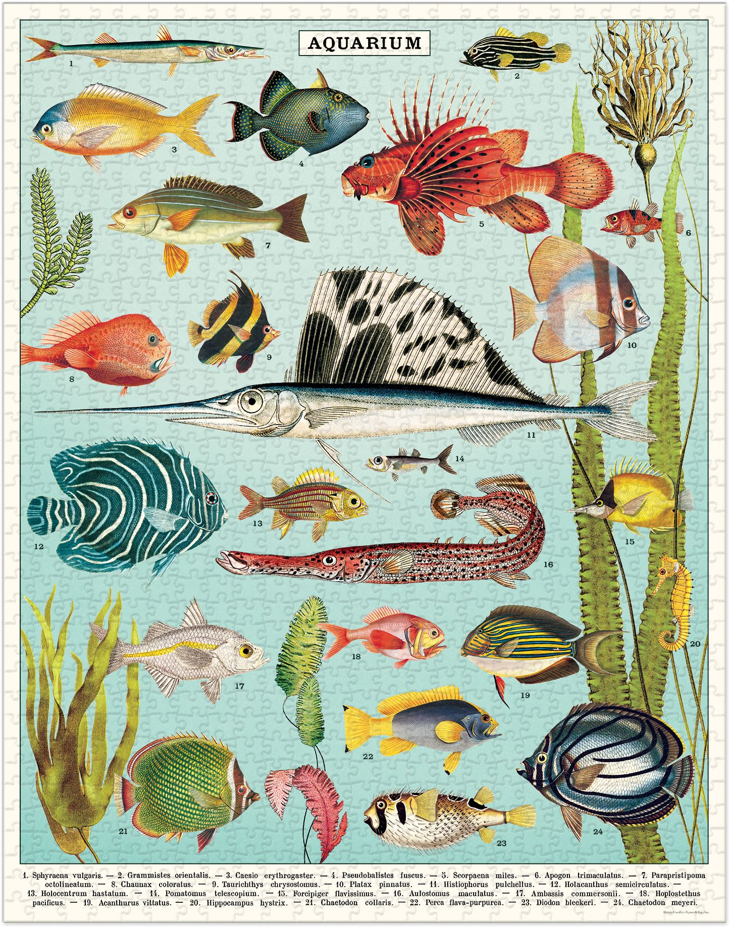 Aquarium 1,000 Piece Puzzle