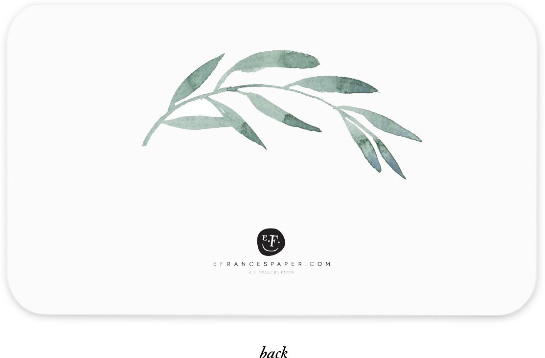 Olive Branch Little Notes by E. Frances Paper