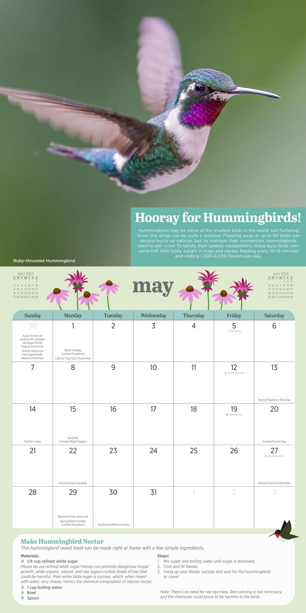 2023 Kids' Birding Activity Wall Calendar