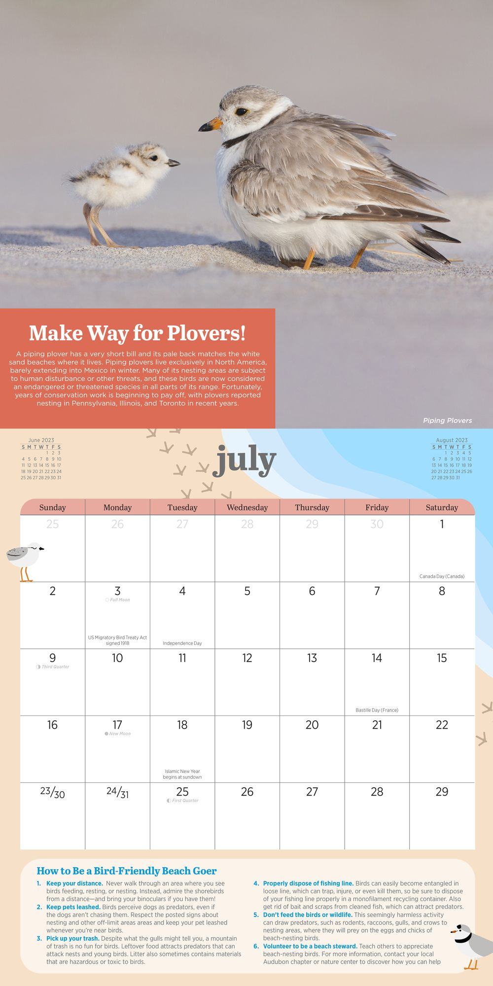 2023 Kids' Birding Activity Wall Calendar