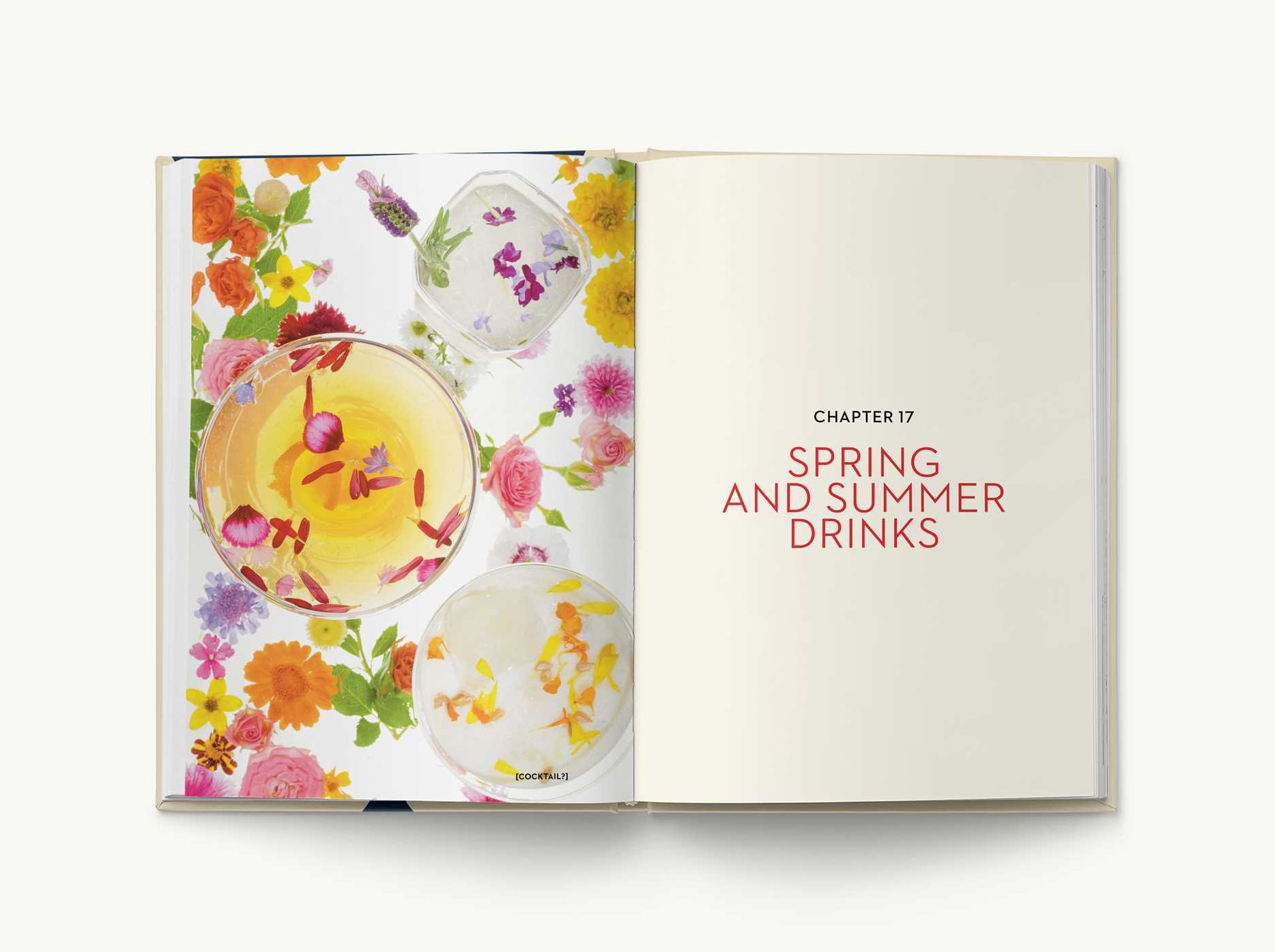 The New York Times Essential Book of Cocktails (Second Edition): Over 400 Classic Drink Recipes With Great Writing from The New York Times (The Ultimate Guide to Entertaining and Bartending)