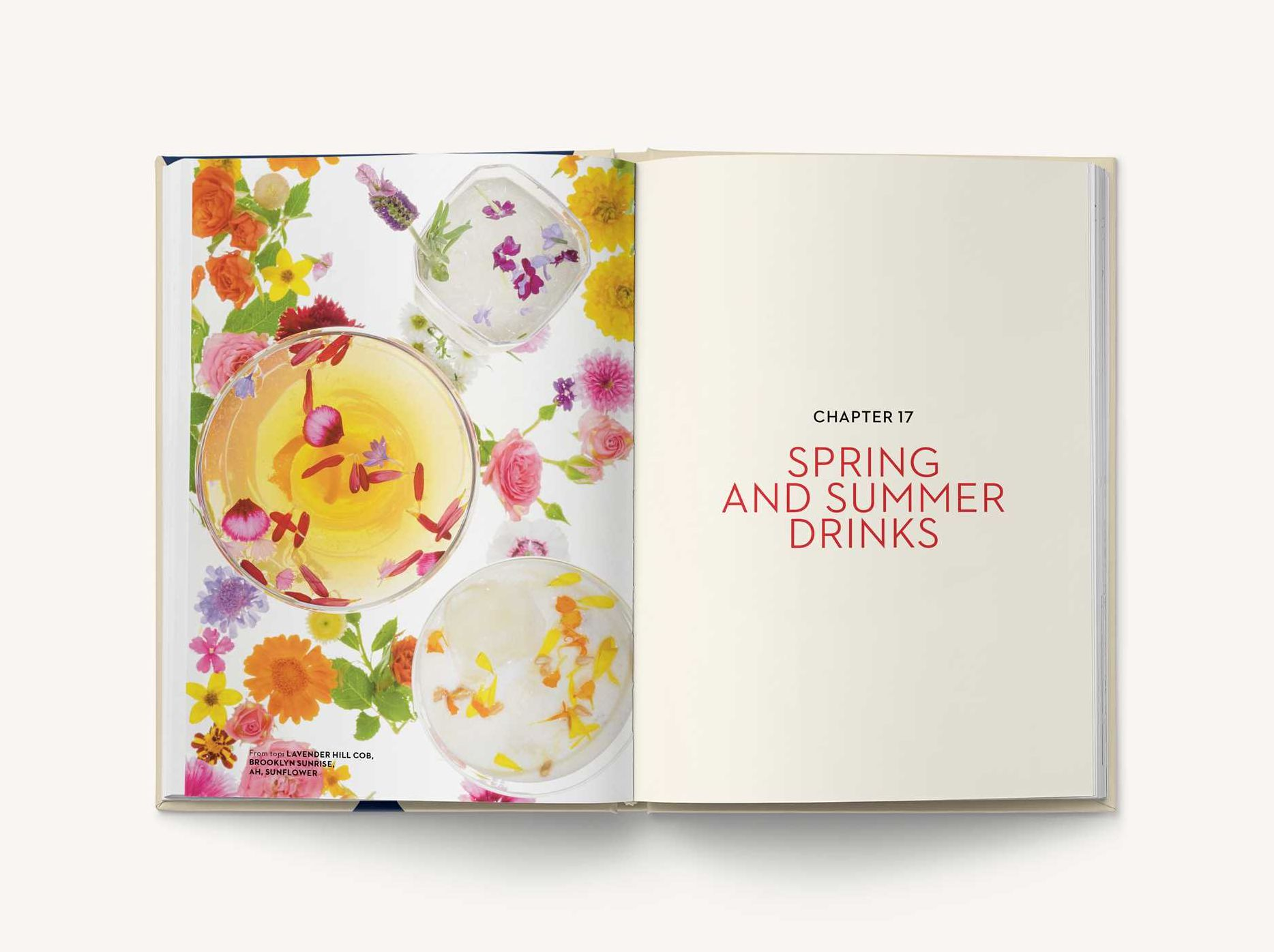 The New York Times Essential Book of Cocktails (Second Edition): Over 400 Classic Drink Recipes With Great Writing from The New York Times (The Ultimate Guide to Entertaining and Bartending)