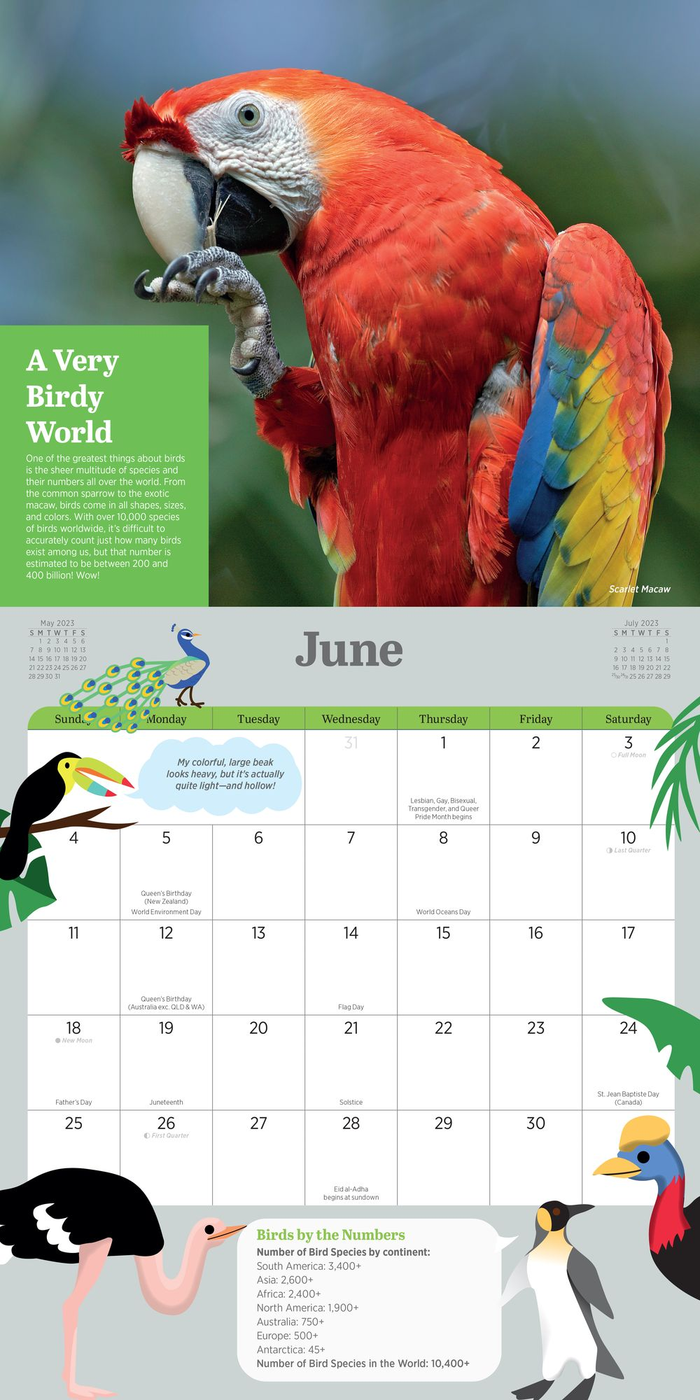 2023 Kids' Birding Activity Wall Calendar