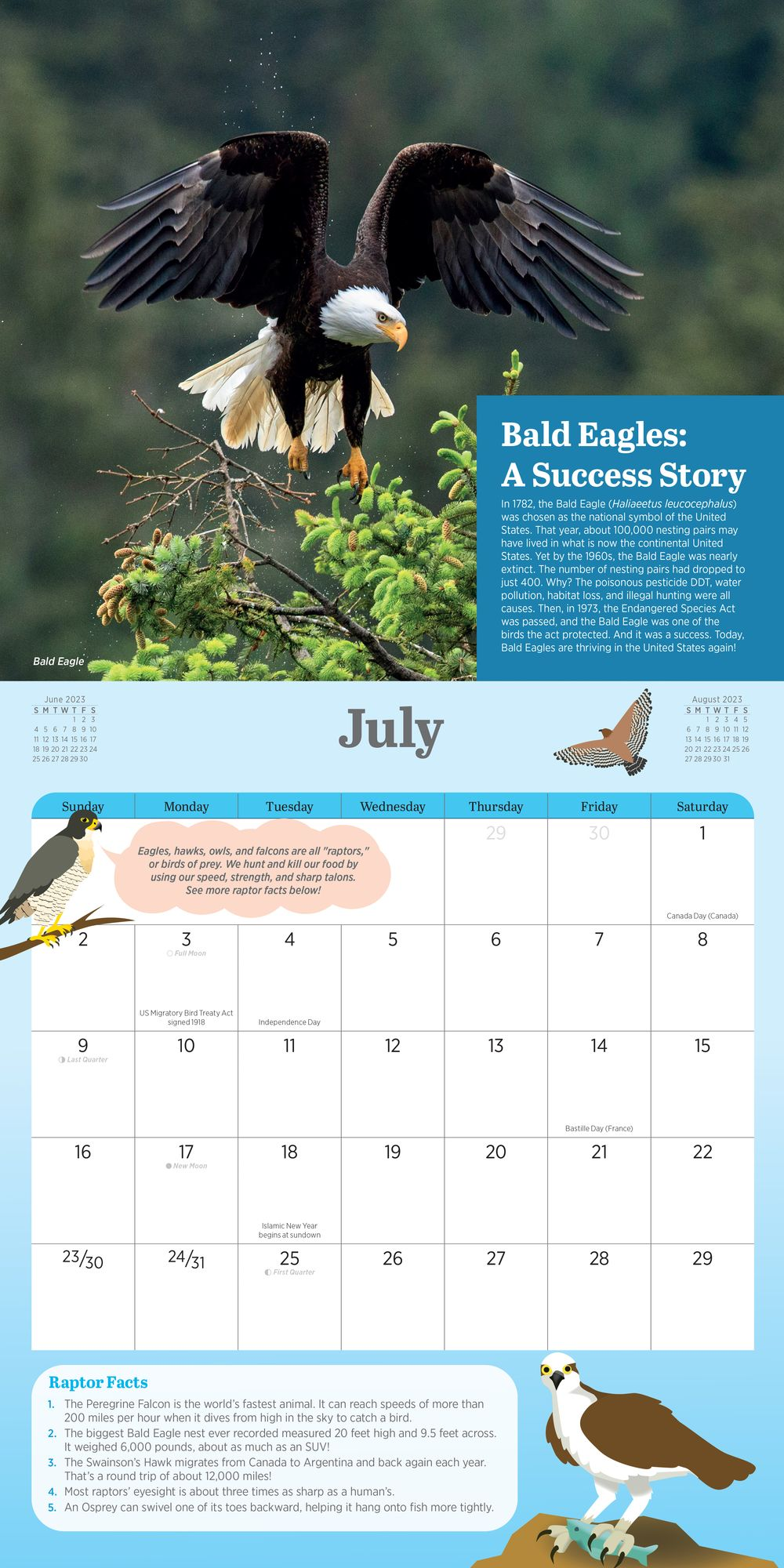 2023 Kids' Birding Activity Wall Calendar