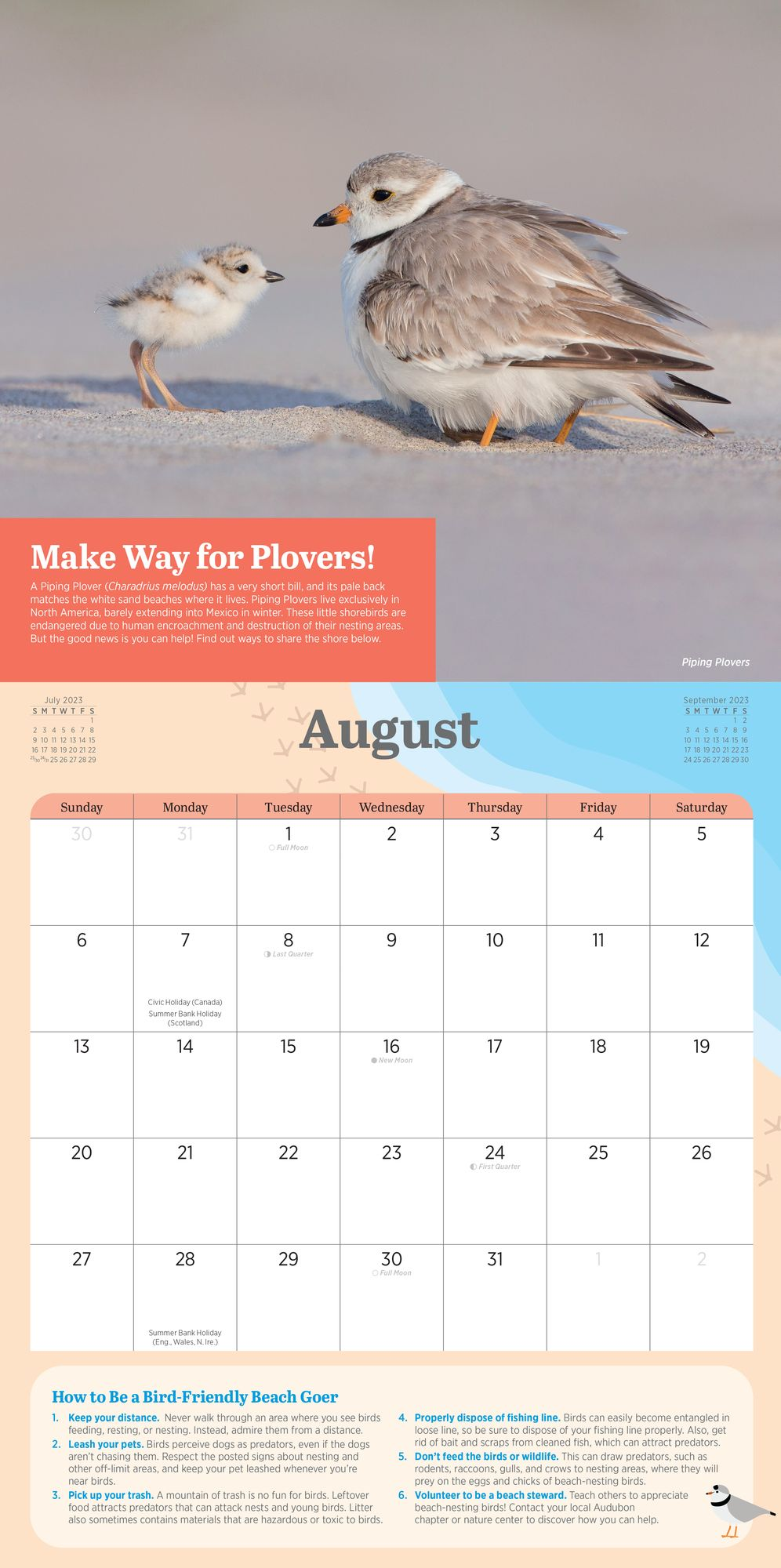 2023 Kids' Birding Activity Wall Calendar