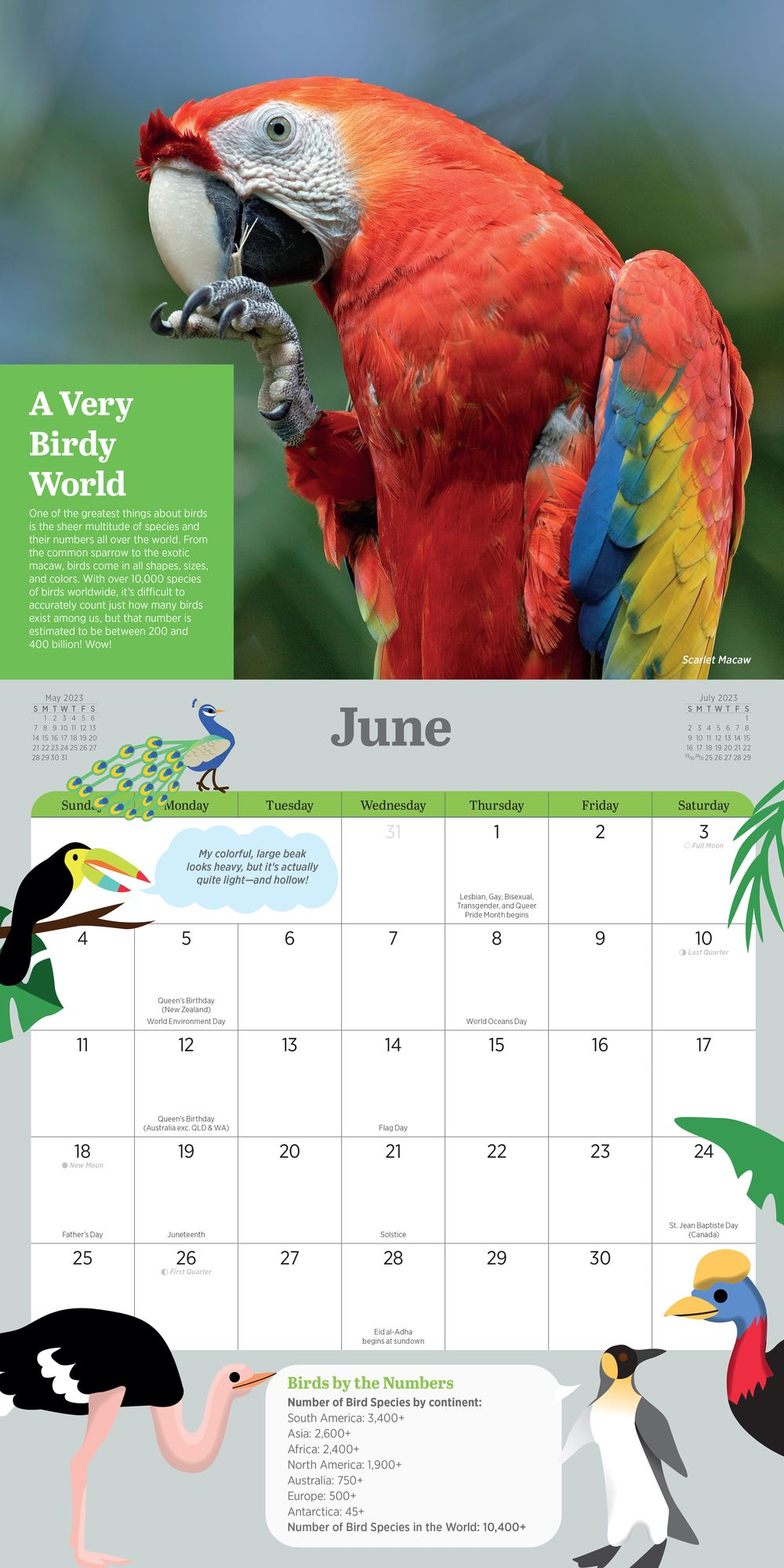 2023 Kids' Birding Activity Wall Calendar