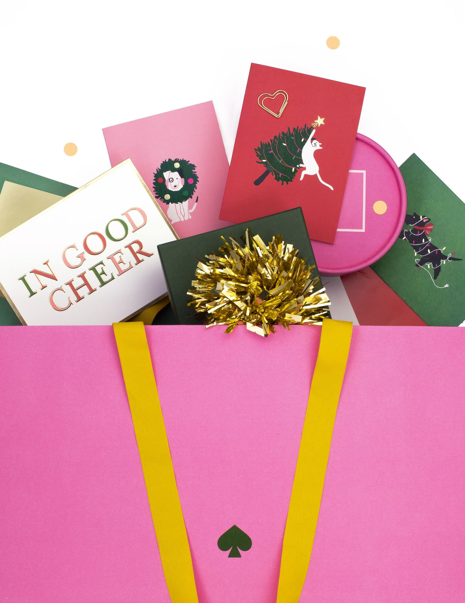 Kate Spade New York Deck The Paws Holiday Card Set