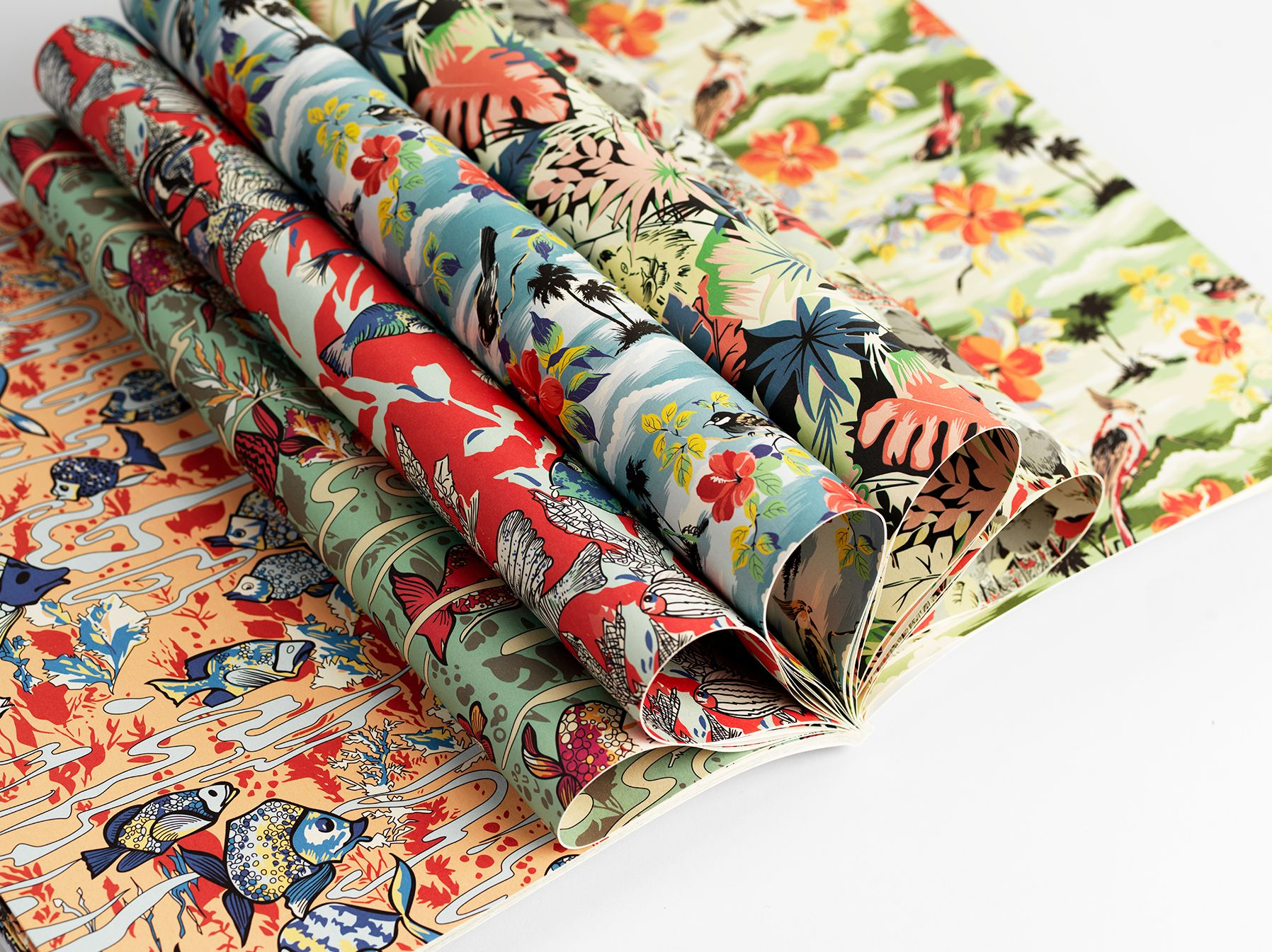 Fanciful Nature Gift & Creative Paper Book