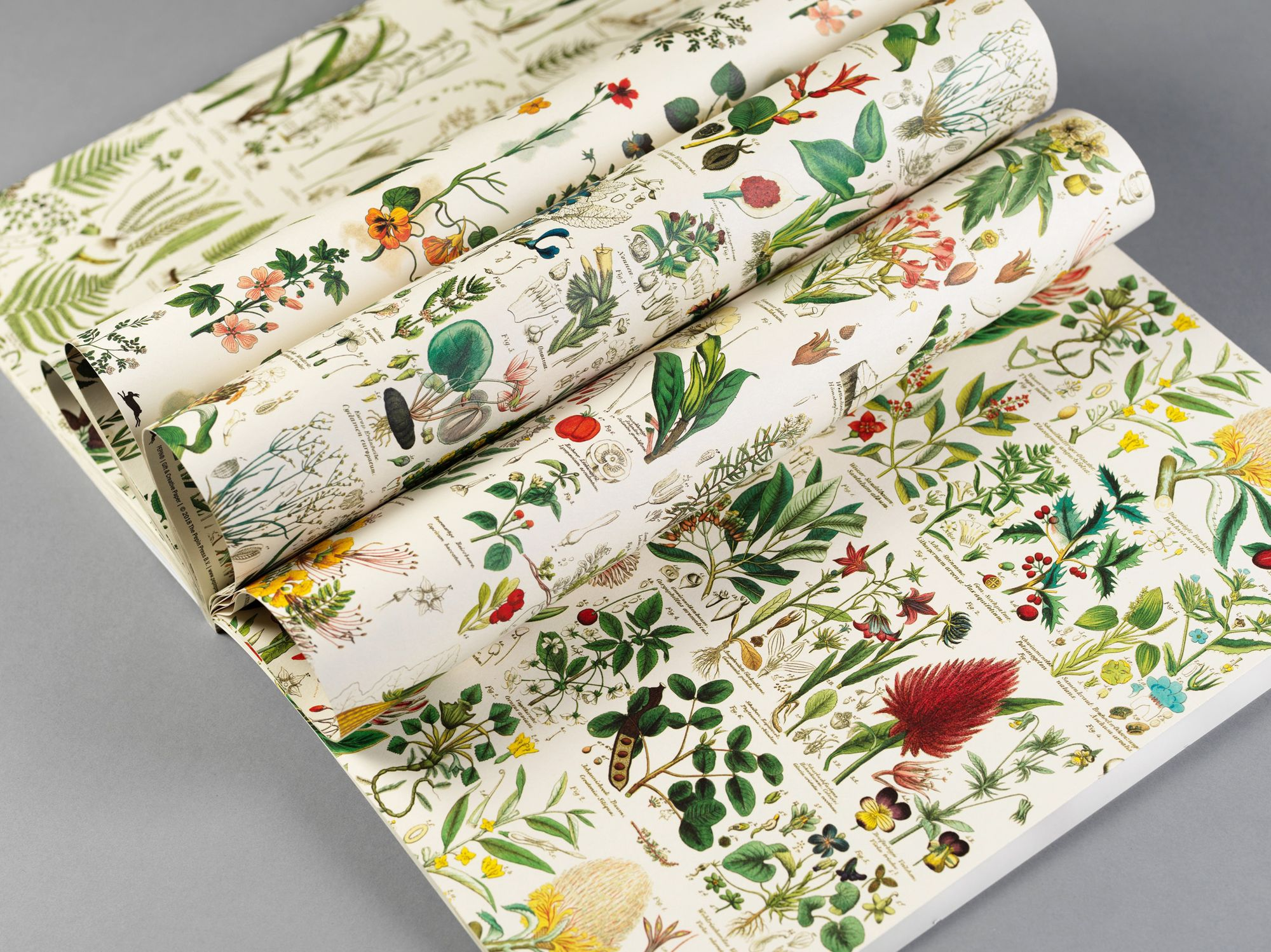 Flora Gift & Creative Paper Book
