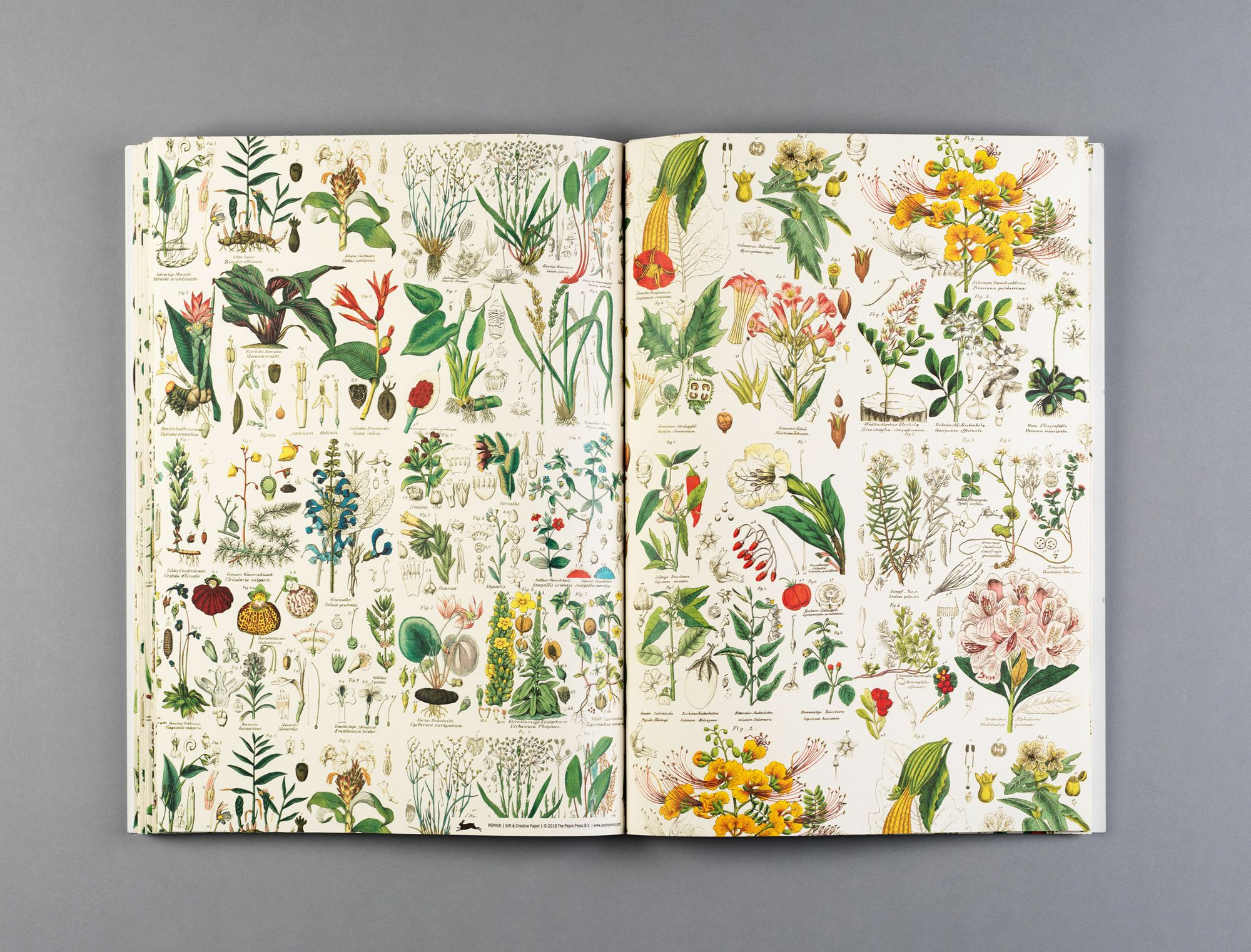 Flora Gift & Creative Paper Book