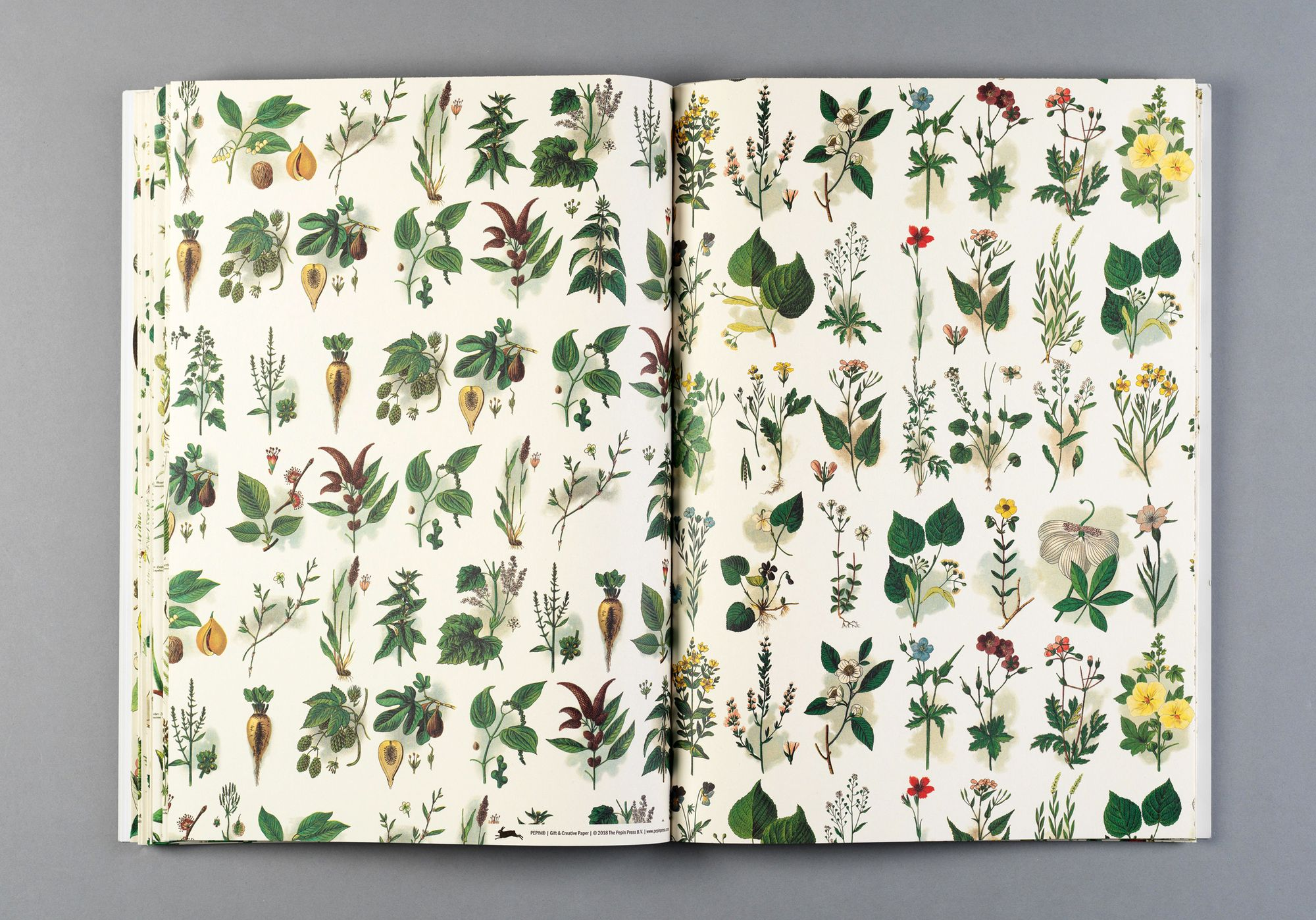 Flora Gift & Creative Paper Book