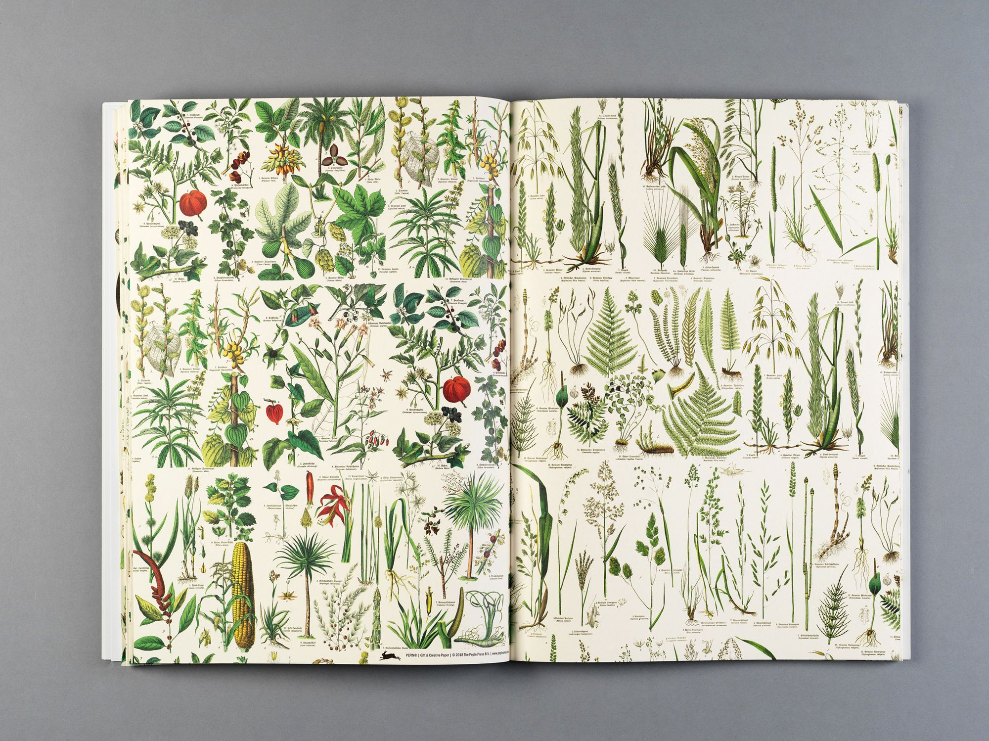 Flora Gift & Creative Paper Book