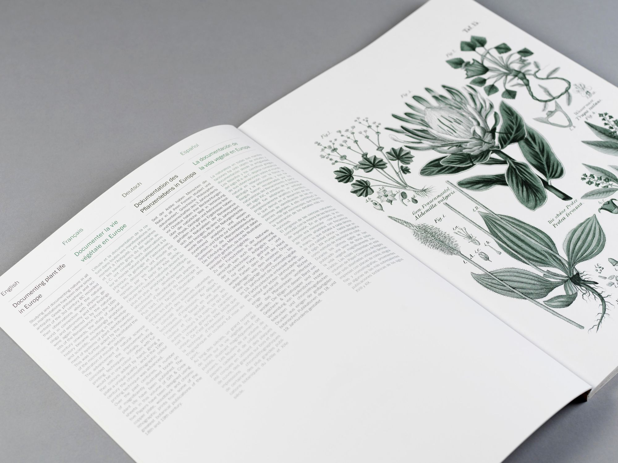 Flora Gift & Creative Paper Book