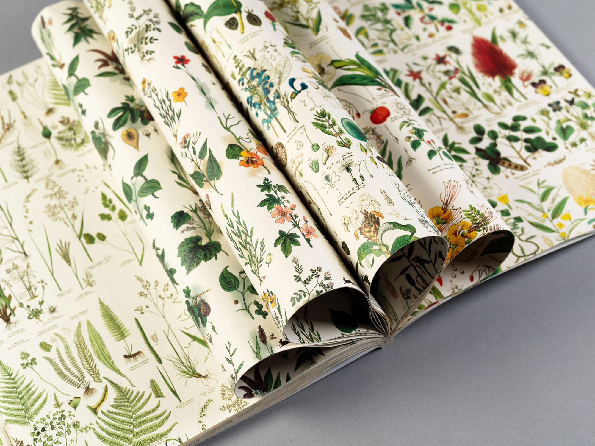 Flora Gift & Creative Paper Book
