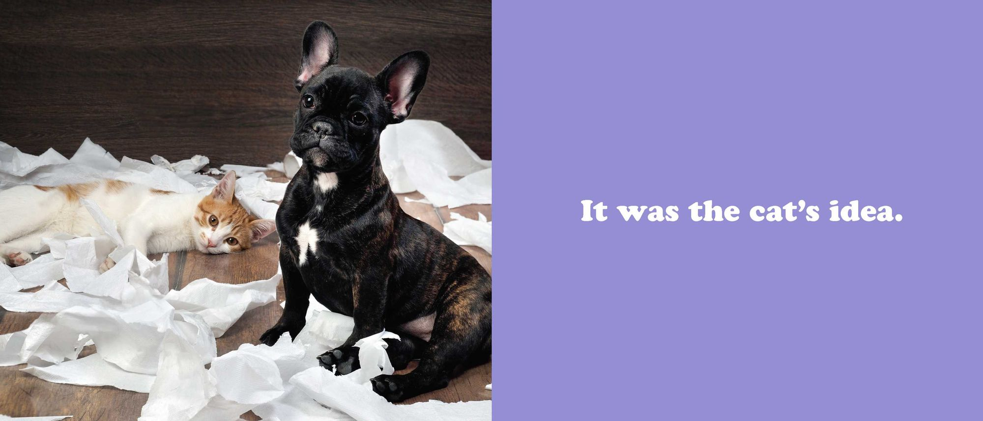 The Secret Thoughts of Dogs