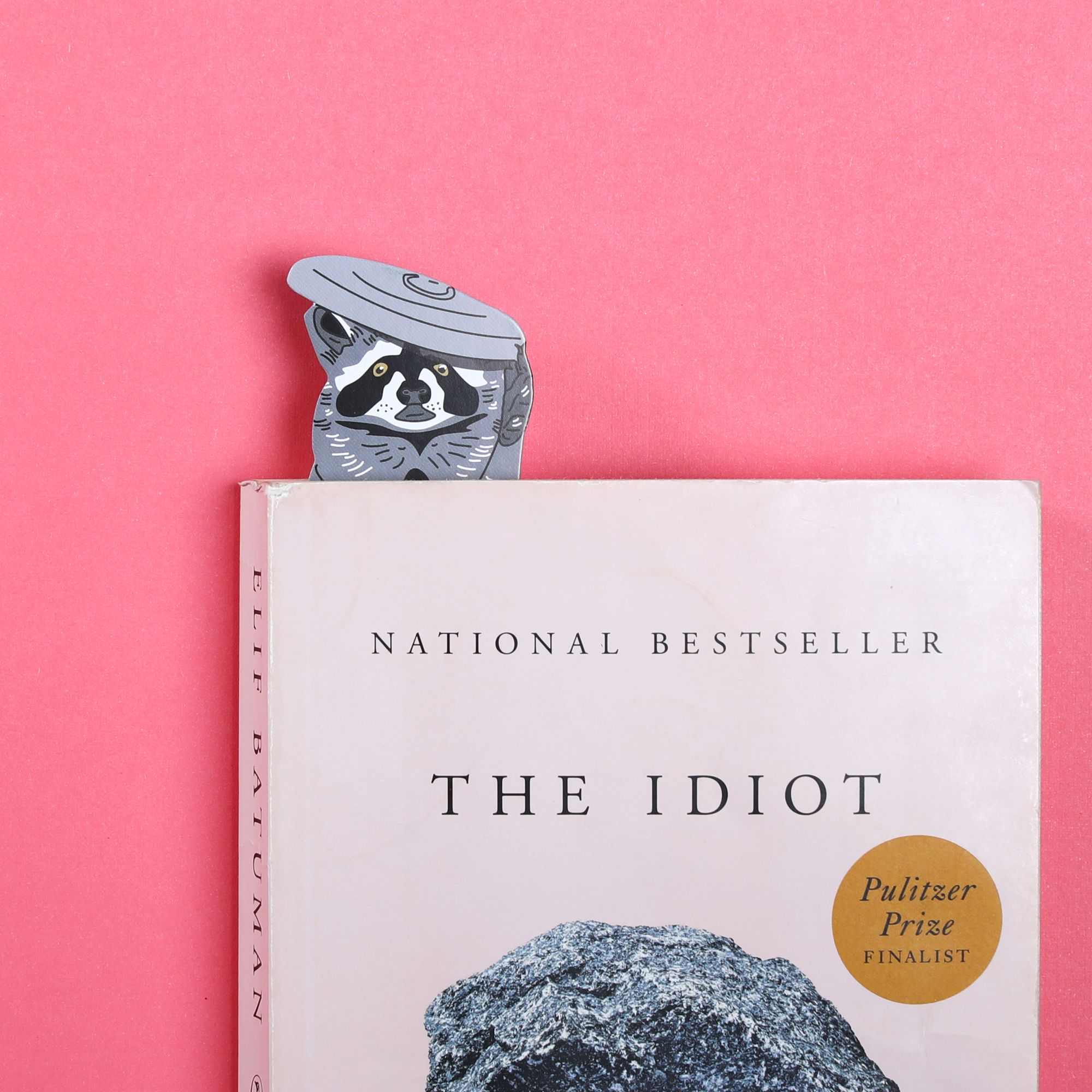 Raccoon Bookmark