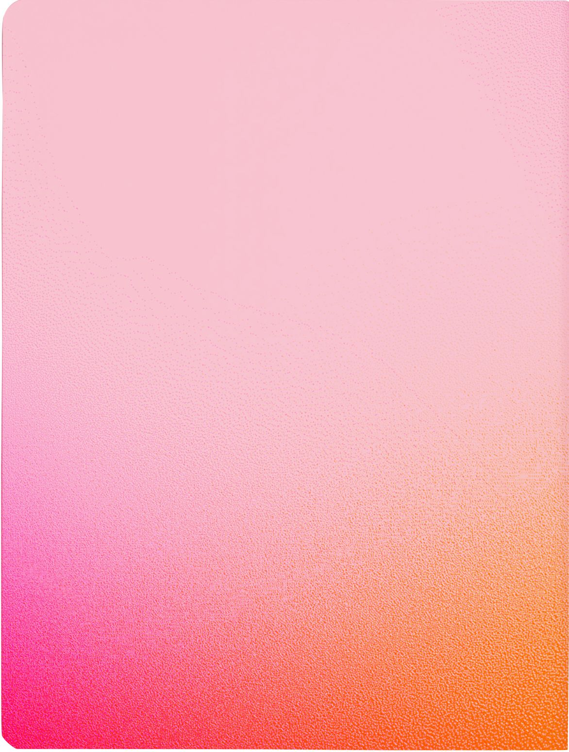 Pink Color Clash Journal