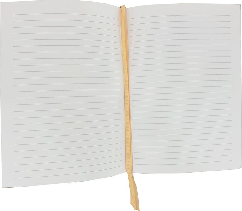 Navy Gold Foil Journal