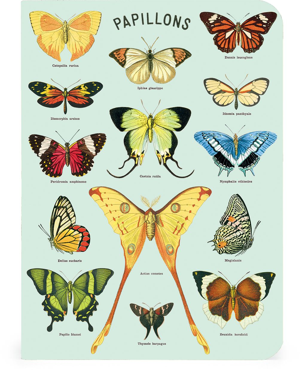 Butterflies Mini Notebooks - Set of 3