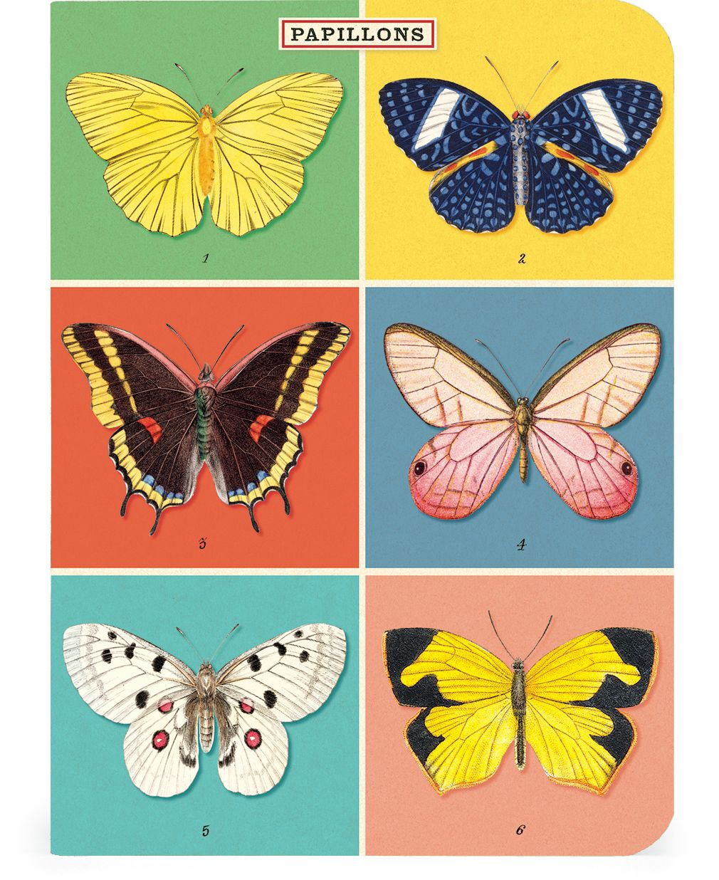 Butterflies Mini Notebooks - Set of 3