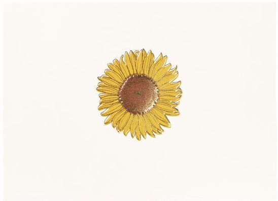 Correspondence Boxed Notecards Gold Sunflower