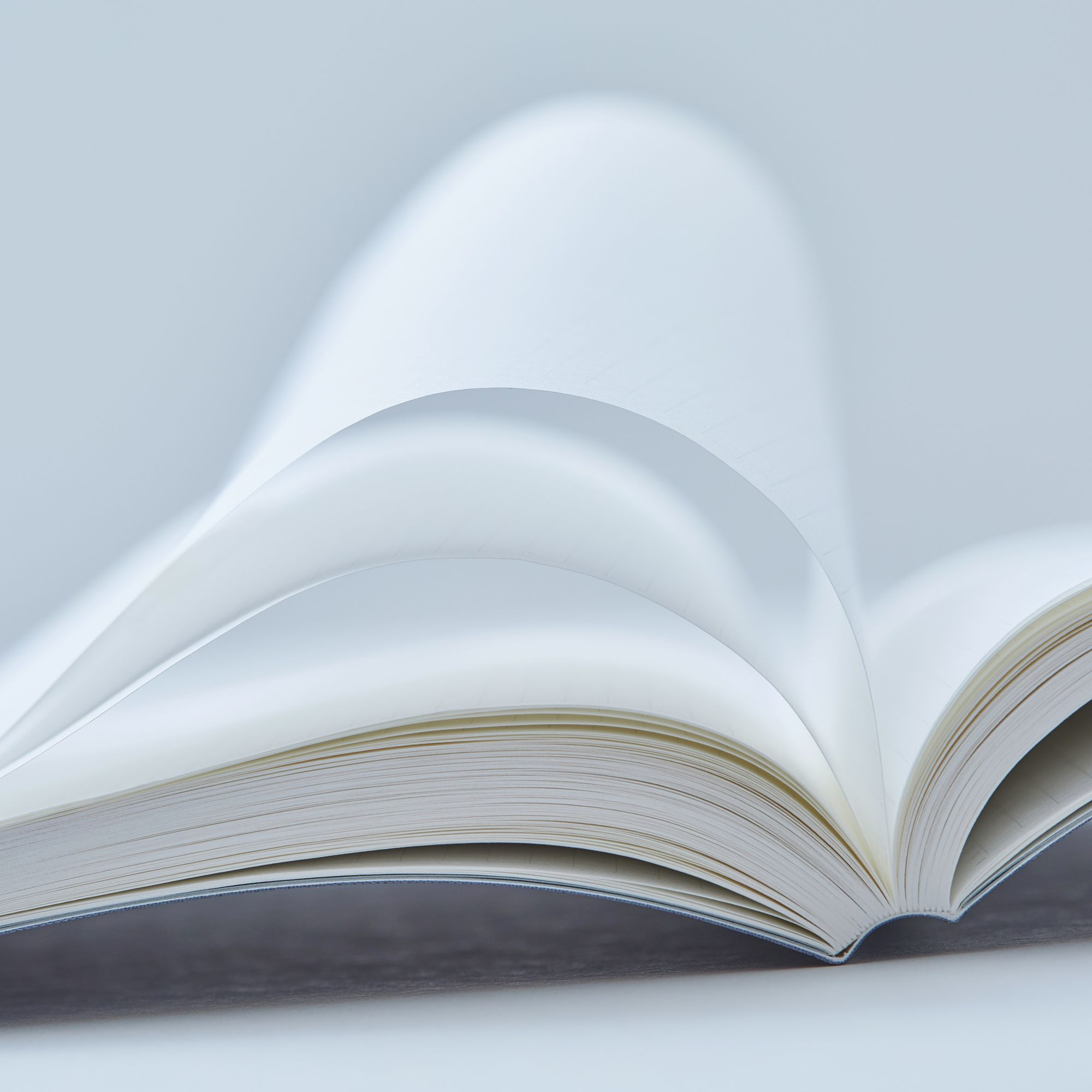 Leaf Green 365 Days Notebook