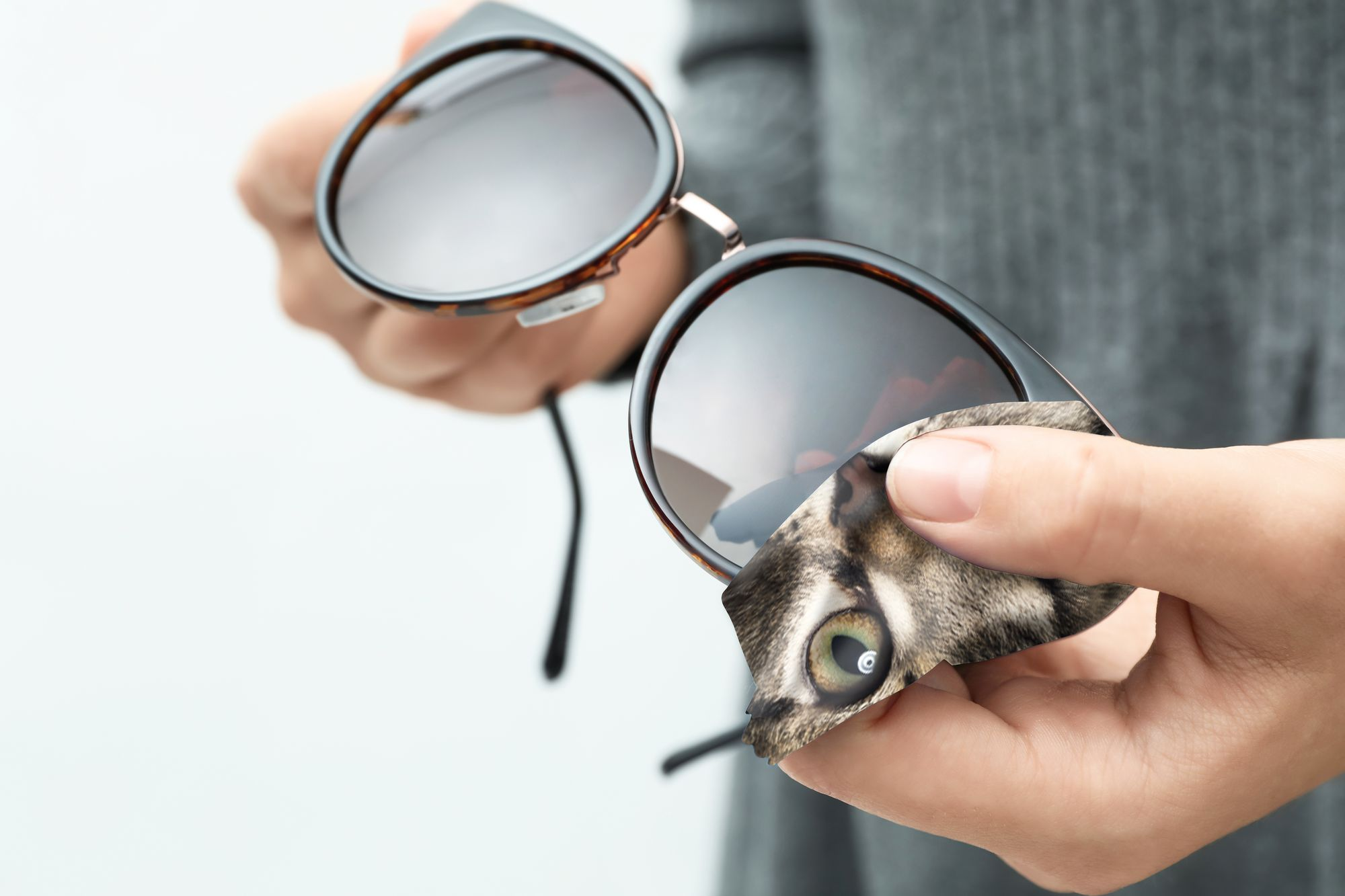 Cat Lens Cleaning Cloth