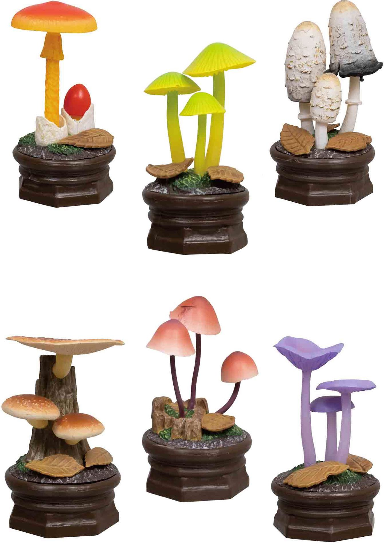 Mushroom Blind Box Assortment
