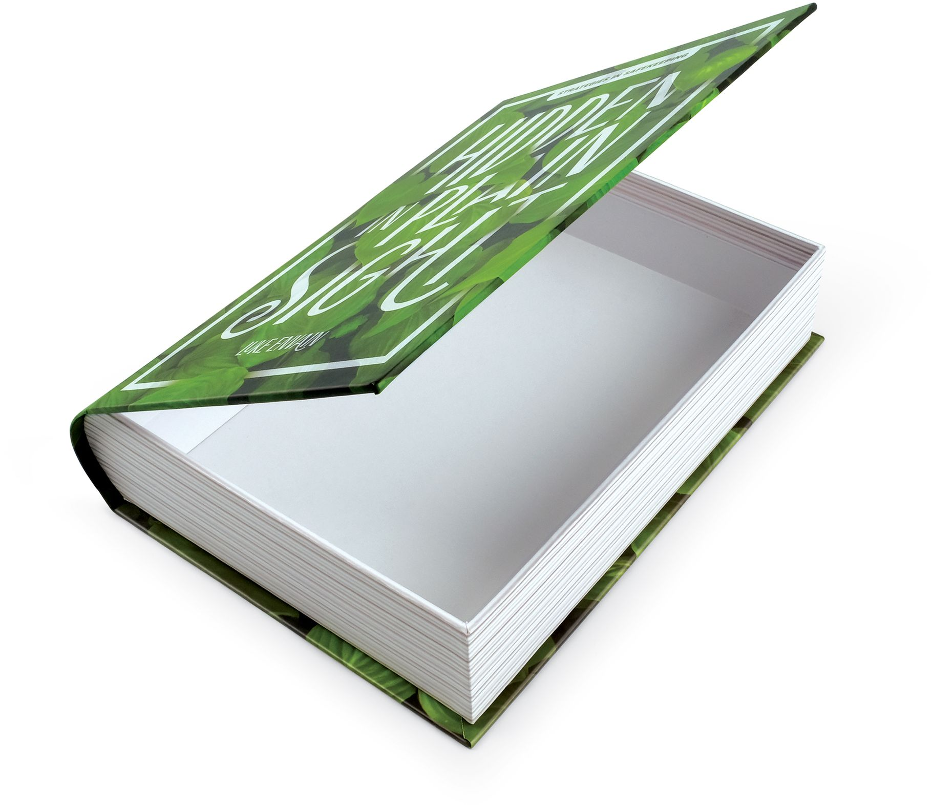 Hidden In Plain Sight Book Storage Box