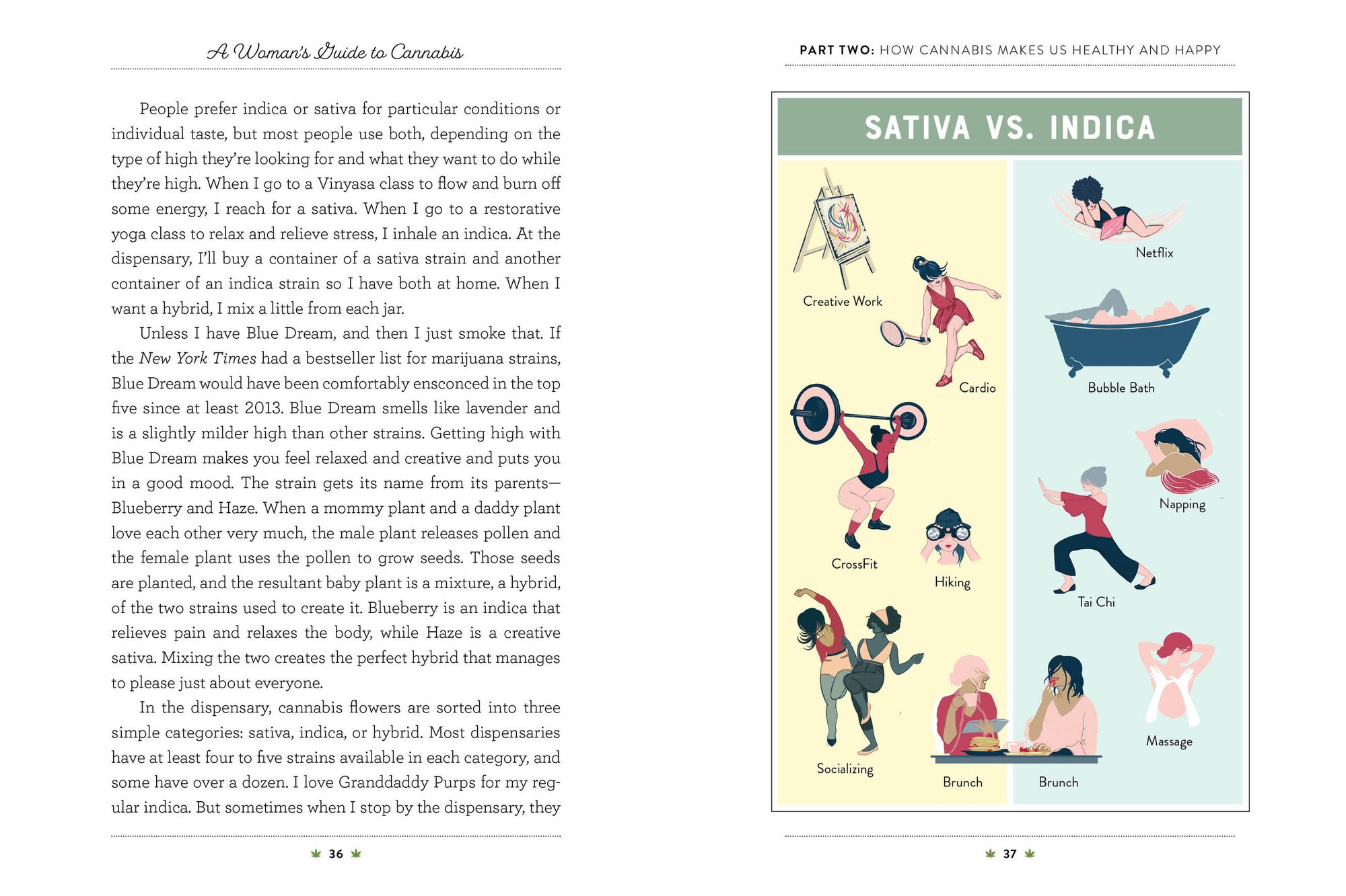 A Woman's Guide to Cannabis: Using Marijuana to Feel Better, Look Better, Sleep Better-and Get High Like a Lady