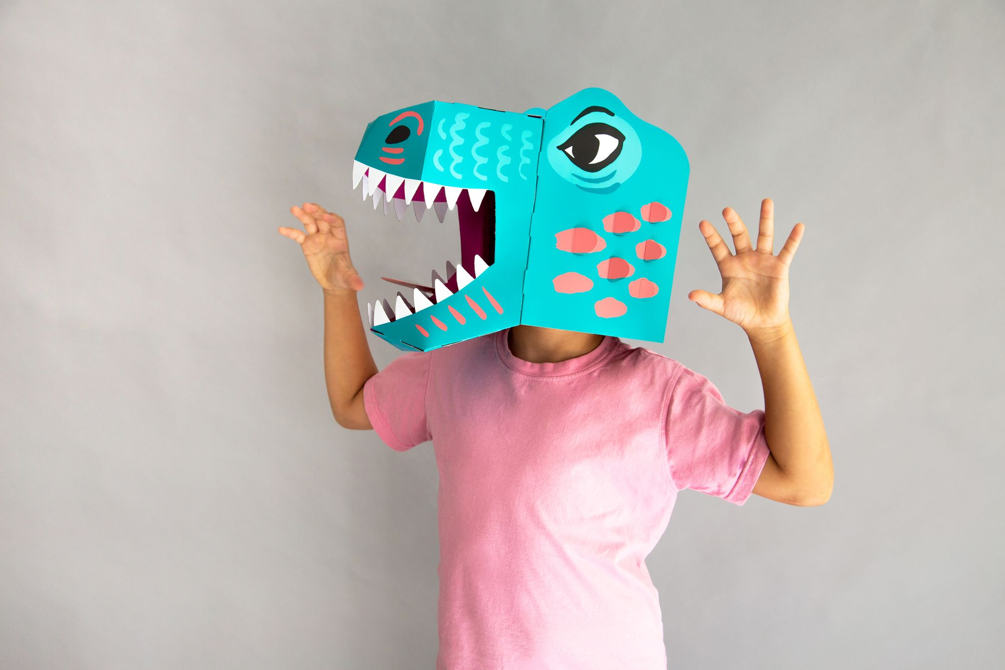 3d Mask Dino