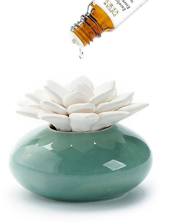 Ceramic Succulent Diffuser