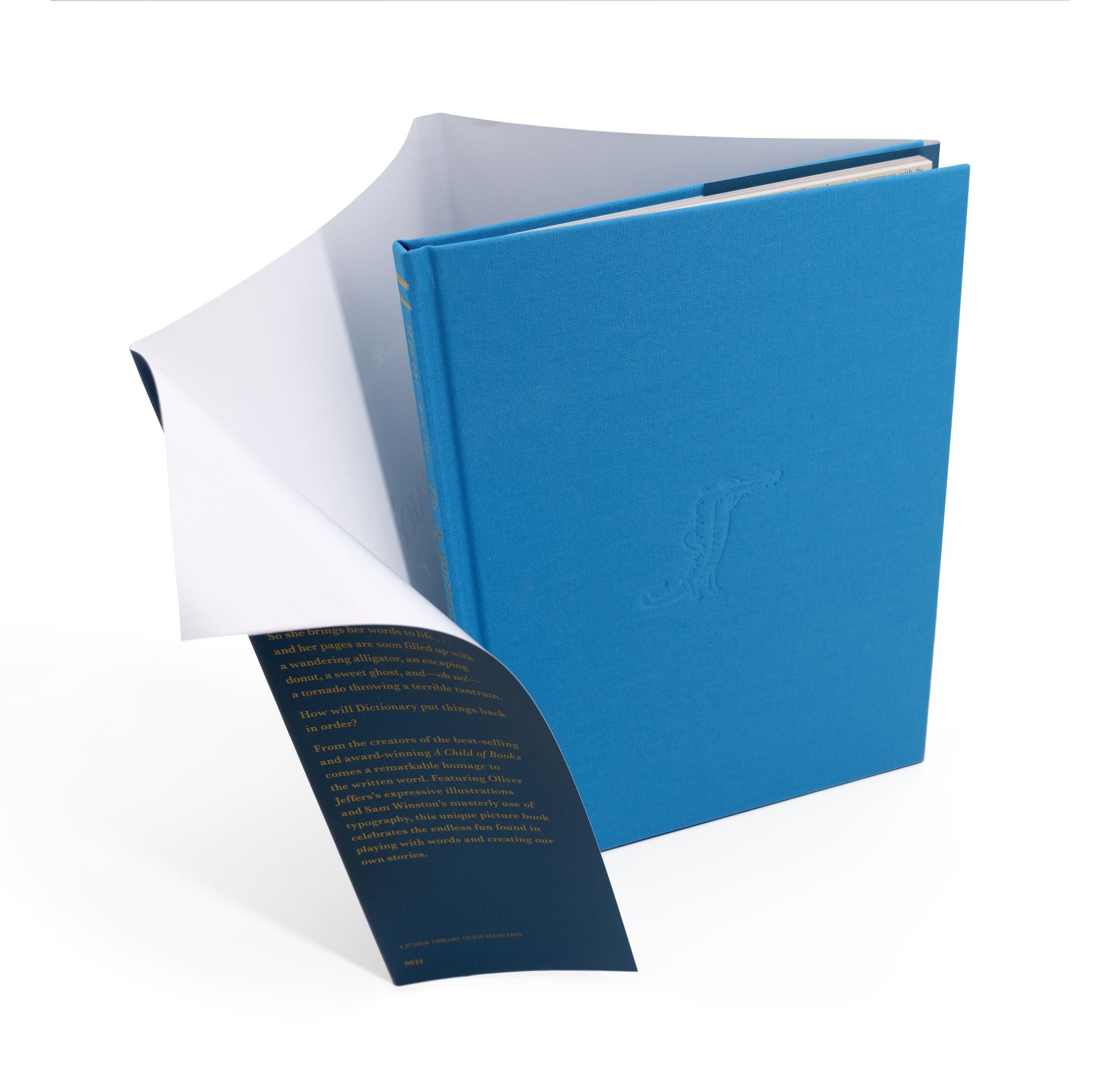 The Dictionary Story