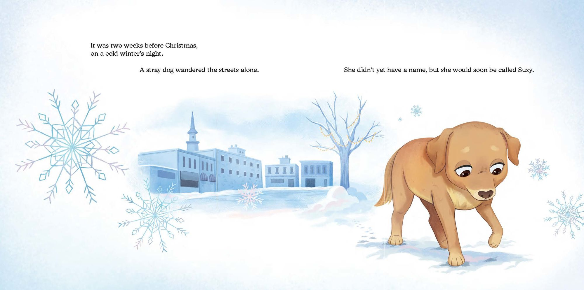 A Stray Dog for Christmas: How Suzy Was Adopted