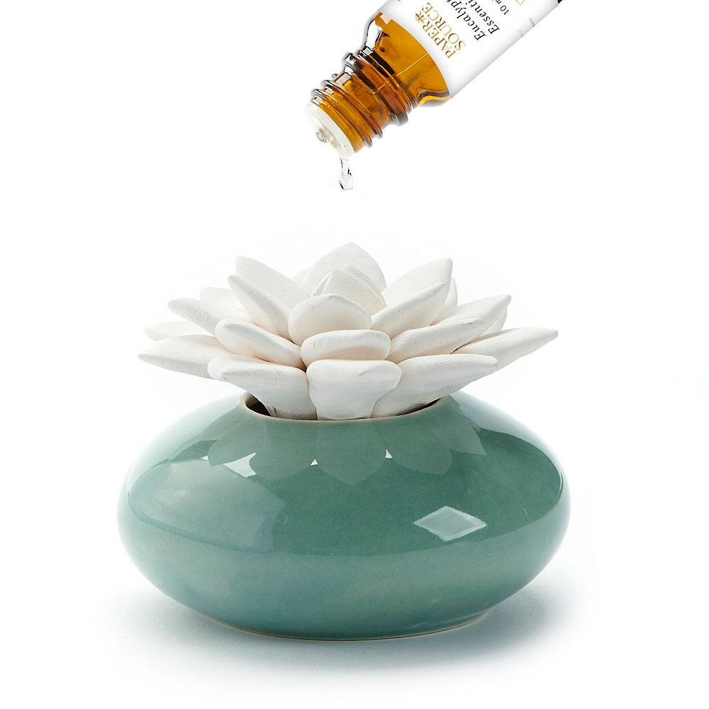 Ceramic Succulent Diffuser