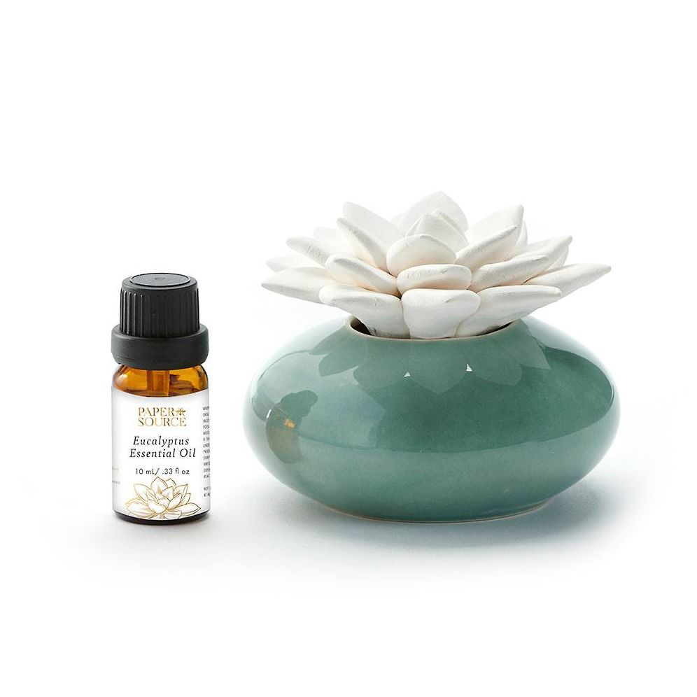 Ceramic Succulent Diffuser