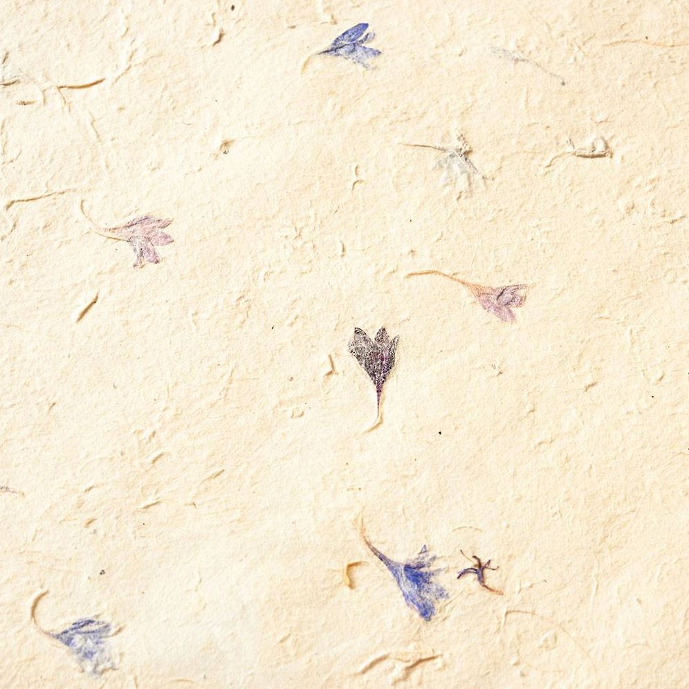 Pressed Blue Petal Handmade Paper