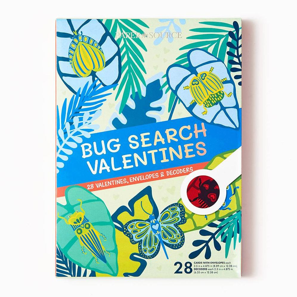 Bug Search Classroom Valentine Card Set
