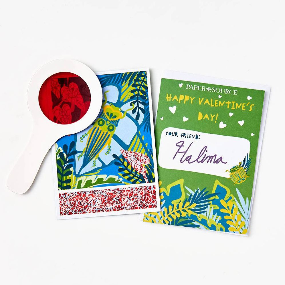 Bug Search Classroom Valentine Card Set