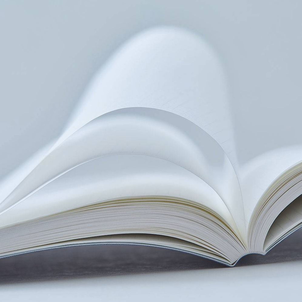 Leaf Green 365 Days Notebook