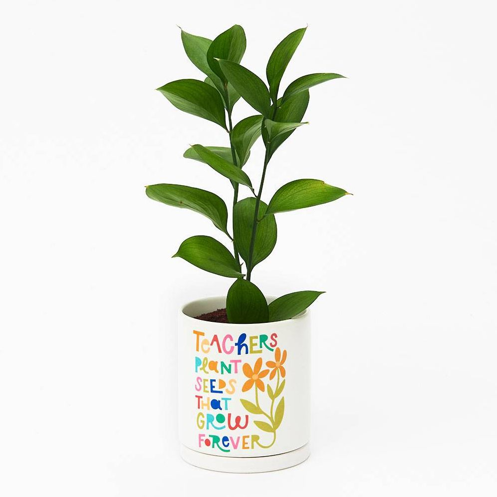 Teachers Plant Seeds Planter