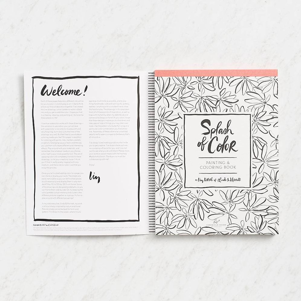 Splash of Color Painting & Coloring Book