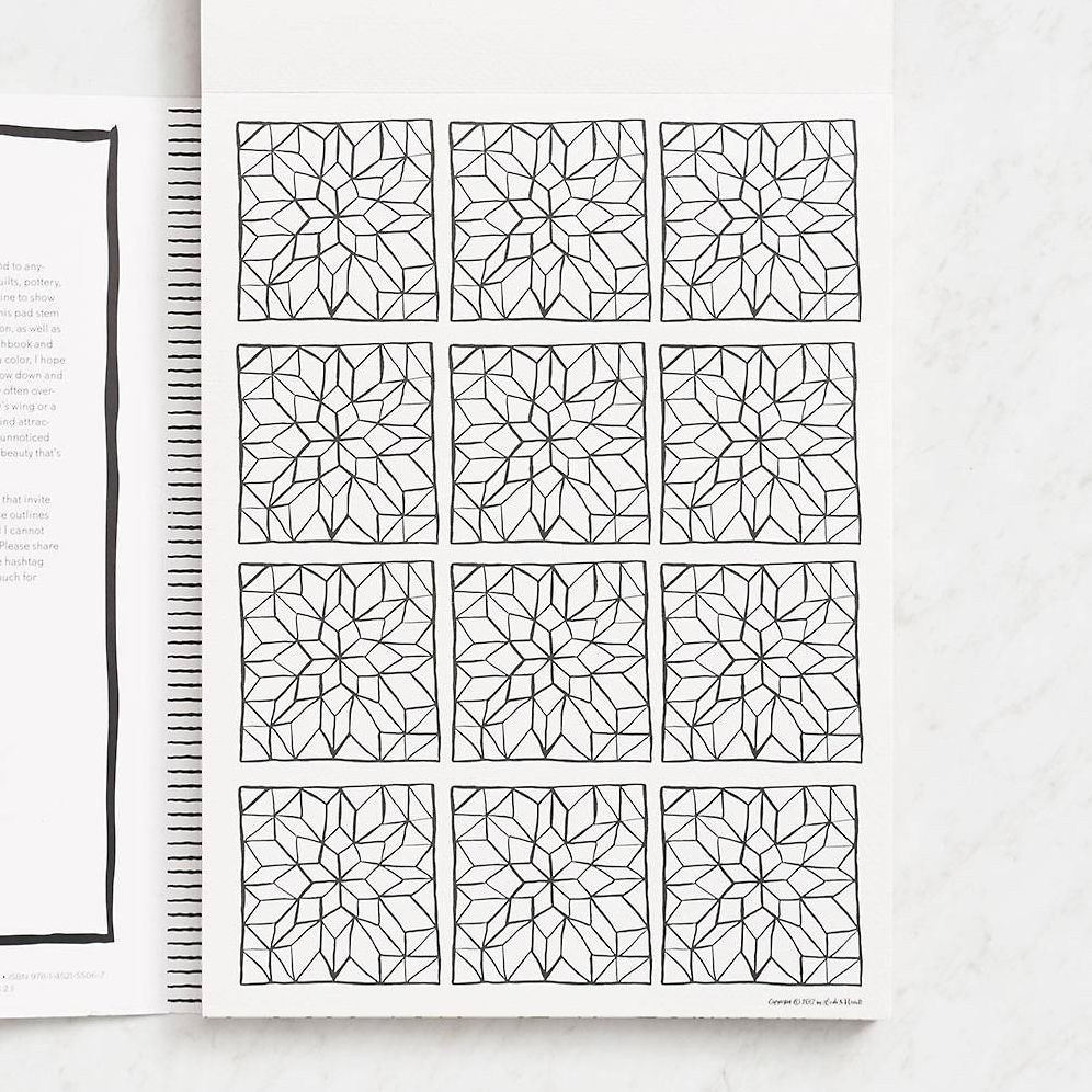 Splash of Color Painting & Coloring Book