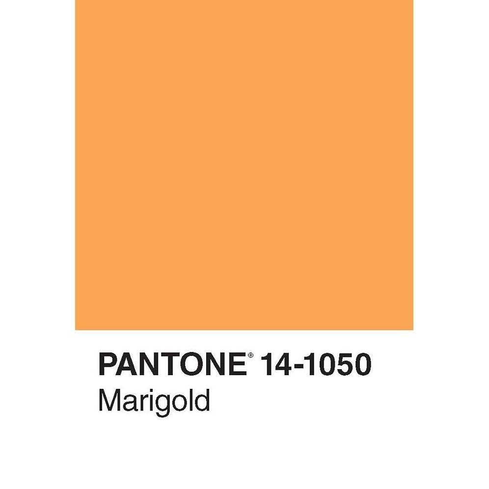 Pantone 50 Postcards