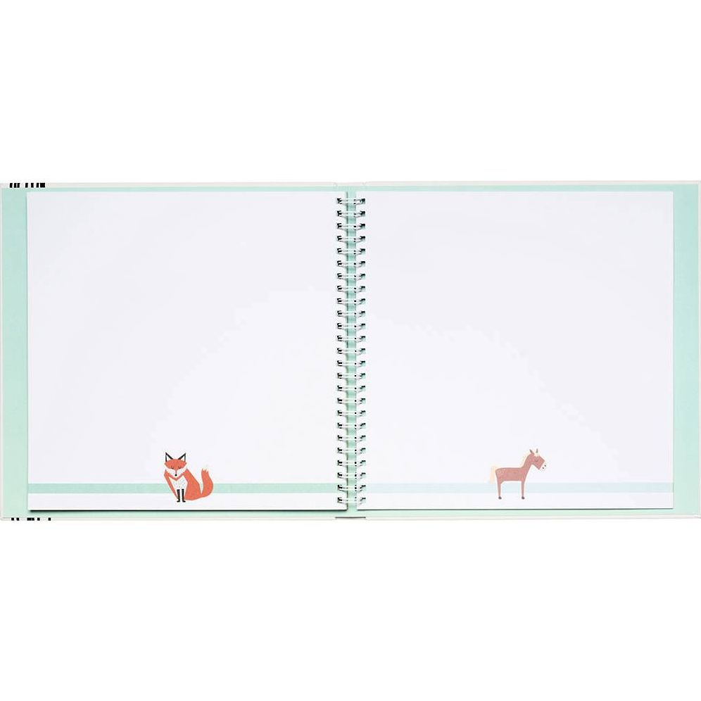 Baby's First Year - Boy