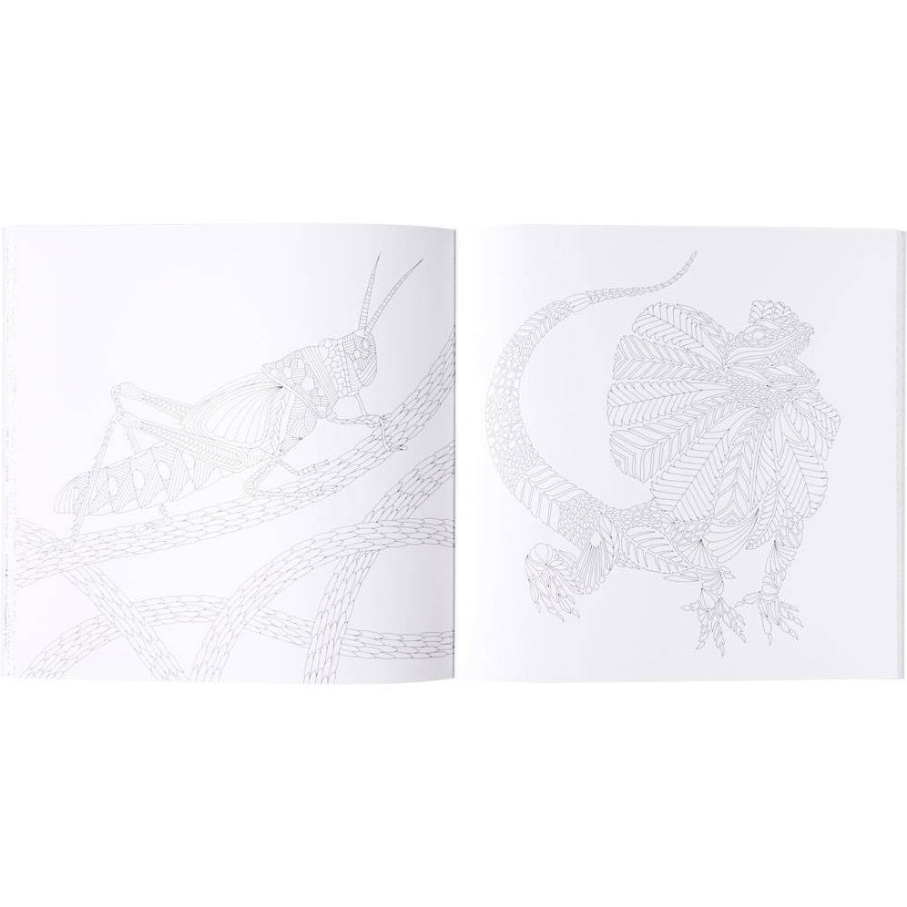 Wild Savannah: A Coloring Book Adventure