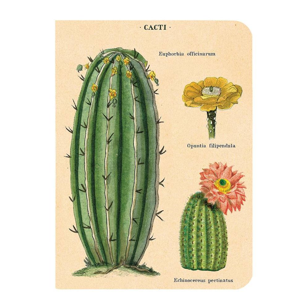 Succulents Mini Journals