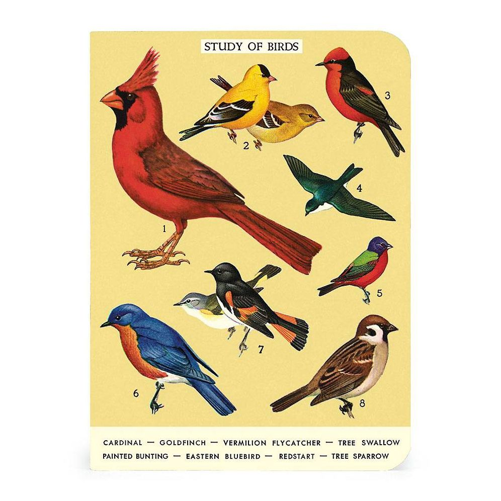 Cavallini & Co. Bird Watching Mini Notebooks