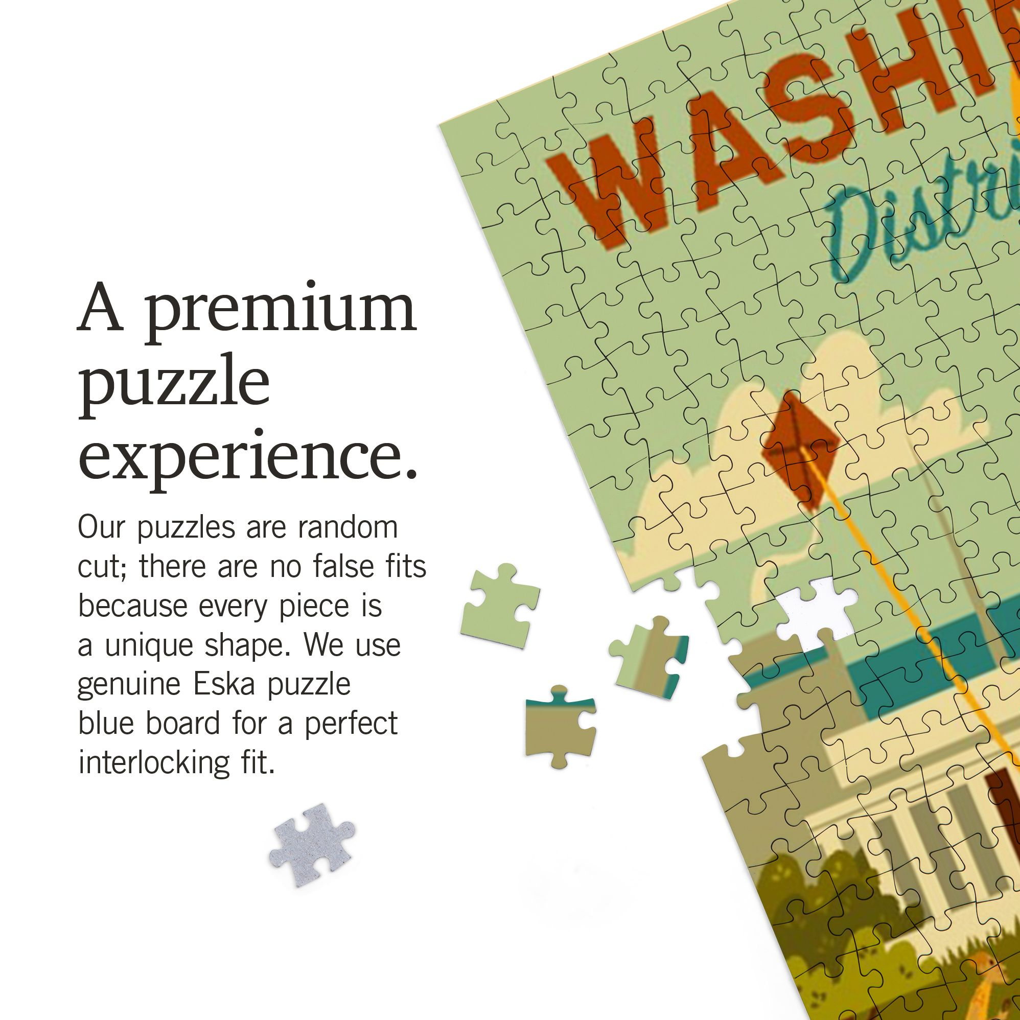 Washington DC Geometric Activities 1000 Piece Puzzle