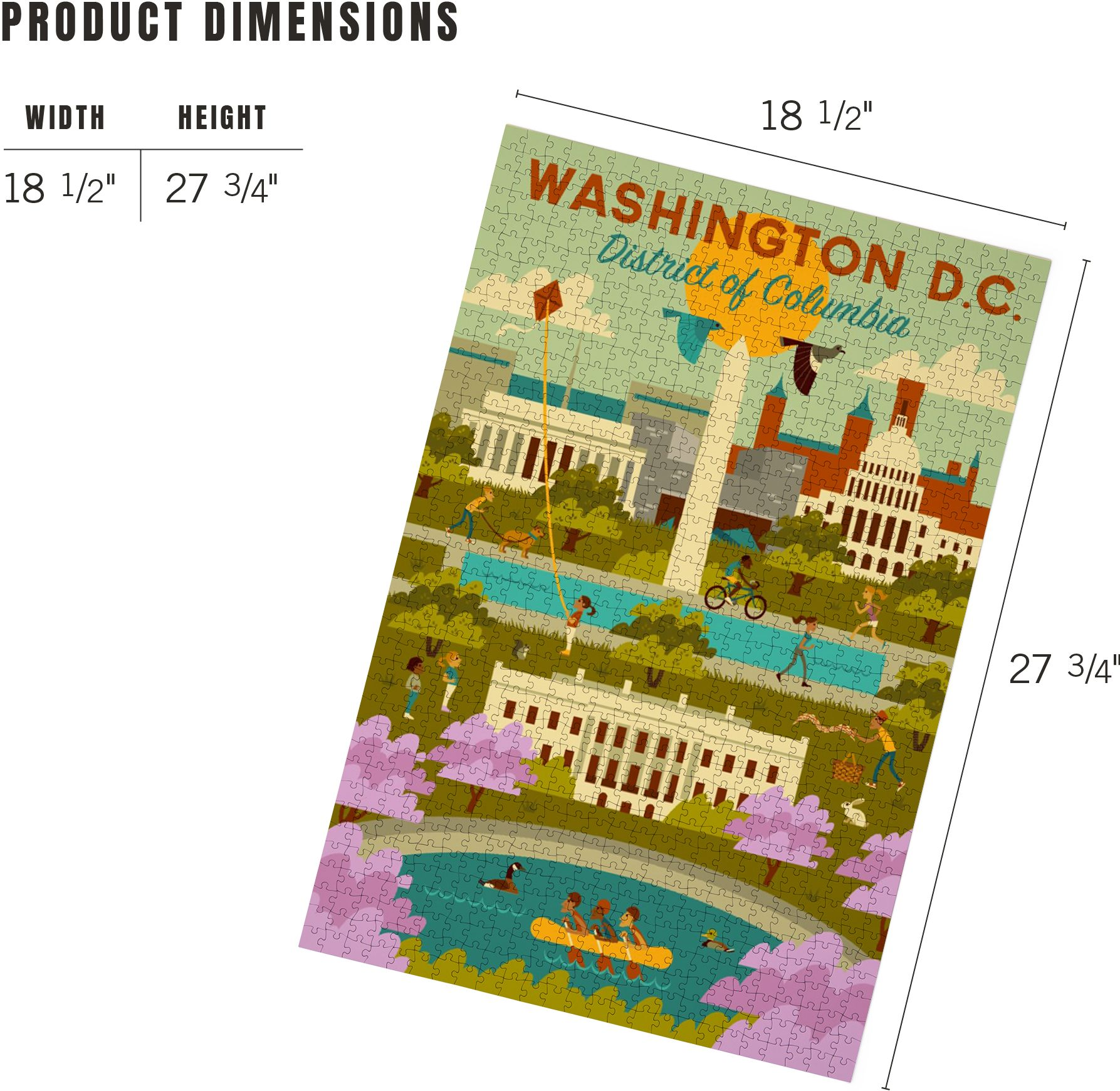 Washington DC Geometric Activities 1000 Piece Puzzle